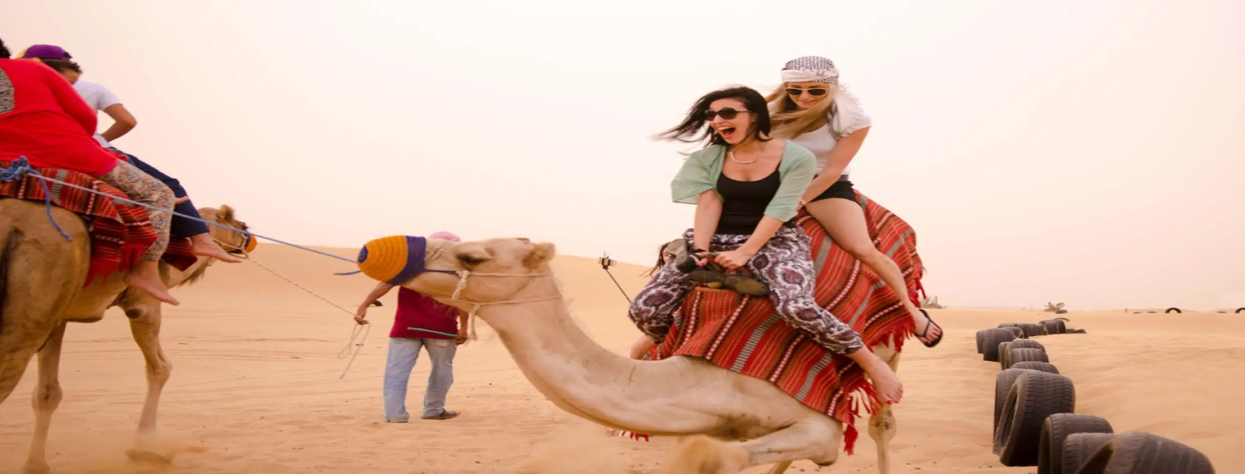 Image for Desert Safari